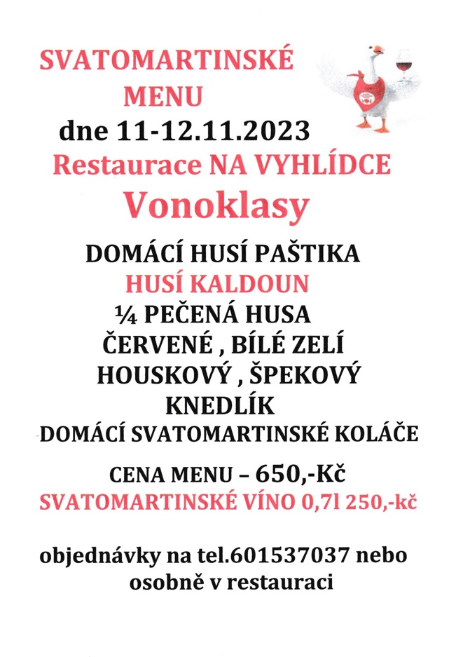 svatomartinske husy vonoklasy